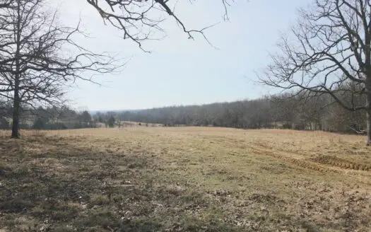 Land for Sale in Myrtle, Mo