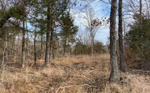 Land in North Arkansas 11 Acres Deer and Turkey Hunting