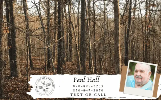 Income Opportunity Lot for Sale in Mammoth Spring, Ar