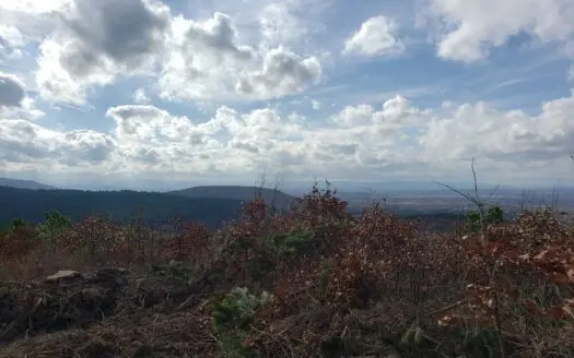 115 Acre Poteau Mountain Recreational Property