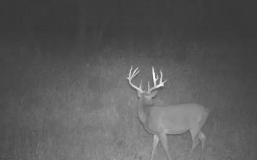 Whitetail Hunting Dream for Sale in Southwest Wisconsin