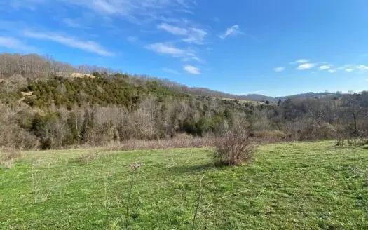 32 Acres Unrestricted Land in Sneedville, Tn for Sale