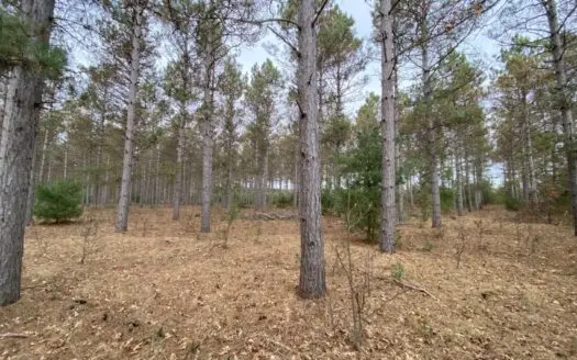 Town Of Big Flats 22.354 Acre Timber Lot for Sale in Adams C