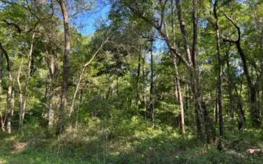 Suwannee River Front Property for Sale in Jasper, Florida