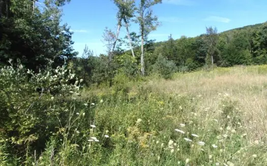 Recreational Property for Hunting or Building