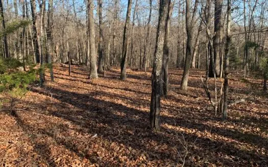 Easy Lake Access to Bull Shoals