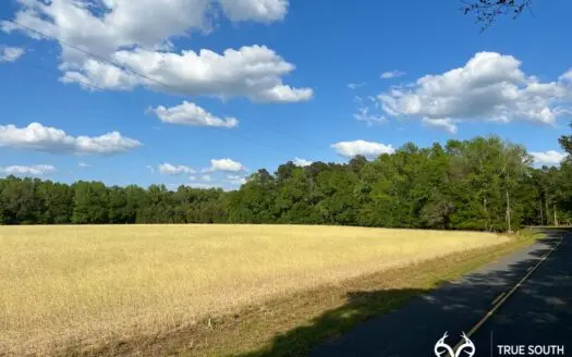 Hampton 10 Acre Future Homesite Mini Farm