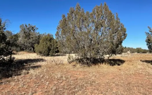 Build Your Off-grid Home Here! 8+ Acres, Ez Access