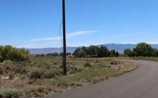 Residential Lot Gillman Springs Ranch Austin, Nv