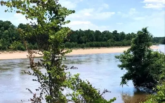 510 Acres Leaf Riverfront Hunting Timberland for Sale Ms