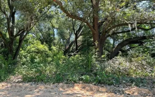 Hunting Land for Sale in Jackson County, Fl.