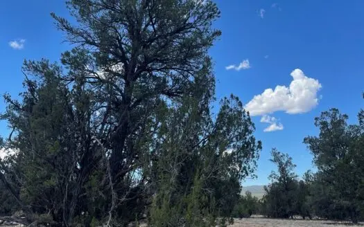 38 Gorgeous Acres — Meadow, Mountain & Valley – Camping Pad