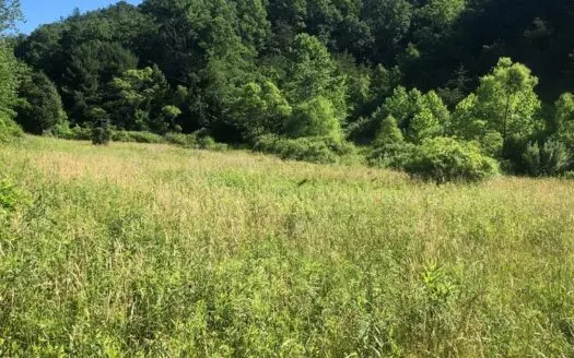 Building Site for Sale in Abingdon Va