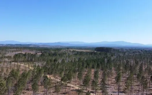East Tennessee Timberland Property – Vacant Residential Land