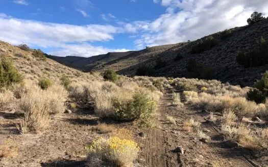 Nevada Residential Recreational Land for Sale Washoe County