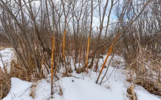 Small Acreage Hunting Property Northeastern Marquette County