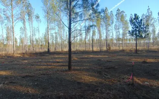 Bradley County Tennessee Acreage for Sale