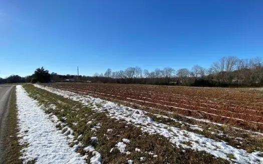 Rare Whitmell Find in Southern Va!