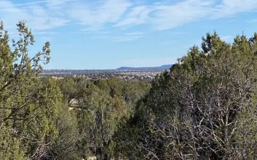 Over 4 Acres for Sale Electric at Lot Line