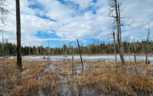Recreational Property in Edinburg, Maine