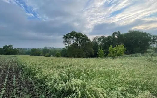 Northwest Missouri Hunting Land for Sale