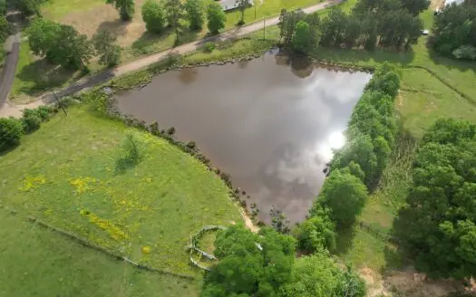 Pasture Land for Sale Lincoln County Brookhaven Mississippi