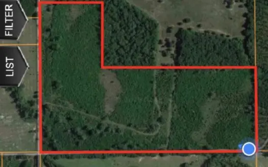 76 Wooded Acres Outside Of Jasper, Fl for Sale
