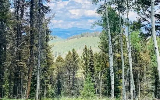 Premier Cabin Lot in Western Colorado