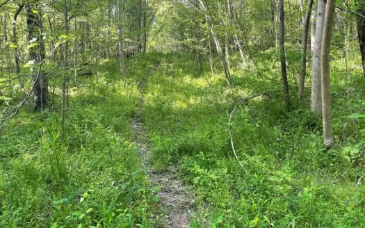 Washington County Land for Sale