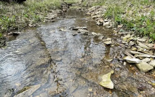 12+/- Wooded Acres in Polk Co, Mo W/ Well, Electric & Septic