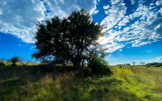 Land for Sale in Central Texas