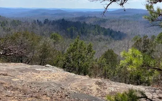 Large Arkansas Hunting and Investment Property