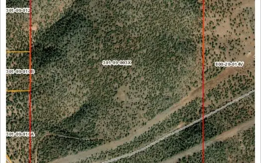 320 Acres Of Pristine Land