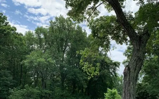 Lot with No Deeded Restrictions in Southern Va