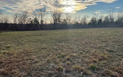 Vacant Land 240 Wooded Acres in Texas County Missouri