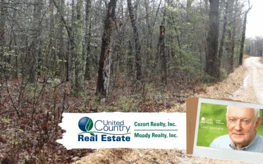 Land for Sale Near Mammoth Spring, Ar