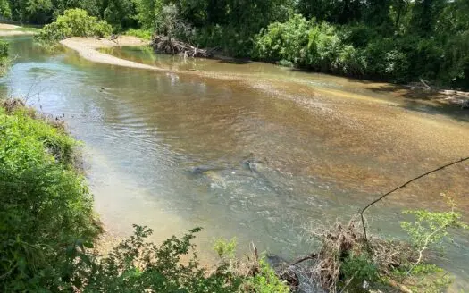 Indian Creek Lot for Sale in Savannah, Tn