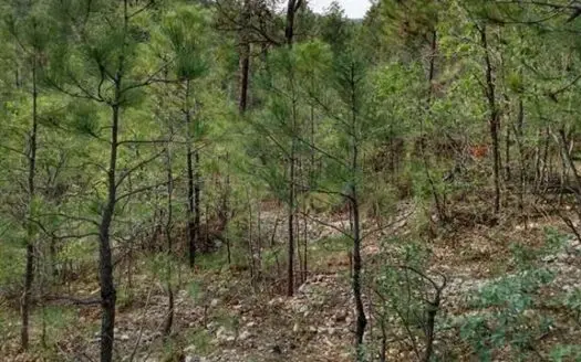 Land with Views in Timberon New Mexico