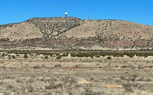 Close to Town, Electric Near, Hunting, Recreation, Full Time