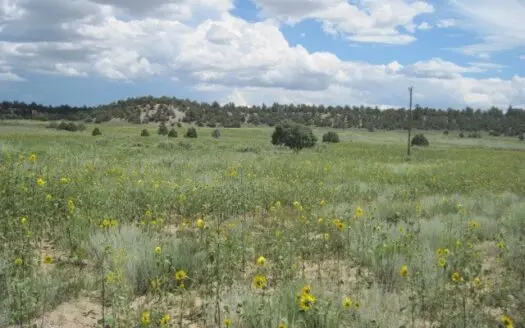 Close to El Vado and Heron Lakes