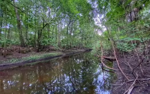 Gorgeous Waccasassa River Front Property!