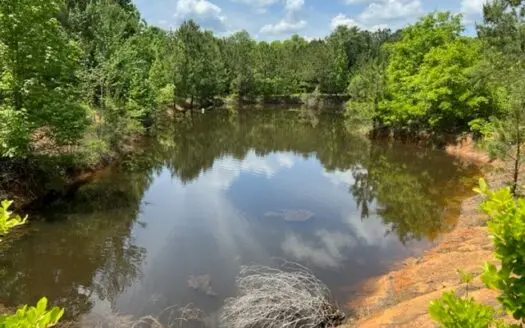 Land for Sale in Barbour County, Alabama