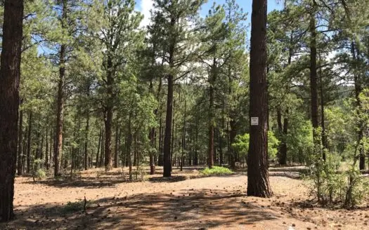 Northern Nm Recreational Land for Sale, Brazos, Ticonderoga