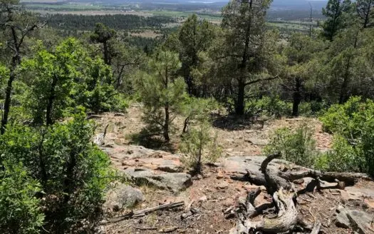 Northern Nm Mountain Land for Sale Real Estate Near Chama Nm