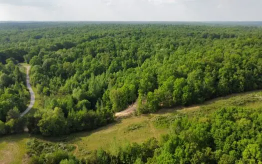 Land for Sale in Lewis County, Tennessee