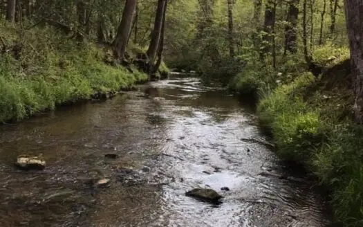 Beautiful Acreage in Southern Va