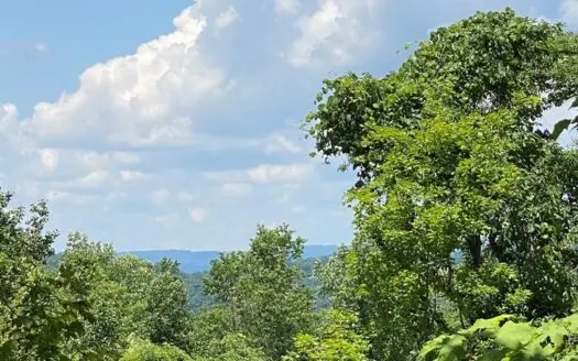 10.76 Acres Surveyed Land in East Tn for Sale