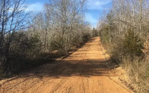 Arkansas Ozarks Wooded Acreage W/highway Frontage for Sale