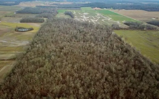 Warrick County Hunting & Recreational Land for Sale