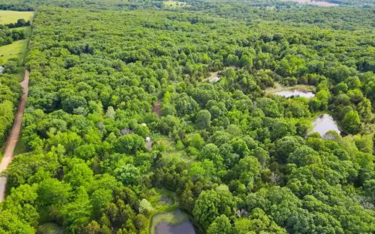 Land for Sale Osceola, Missouri